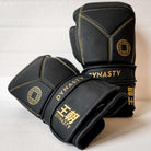 Dynasty Diamond Pro Training Gloves (Matte Black)-Boxing Gloves - Dynasty Clothing MMA