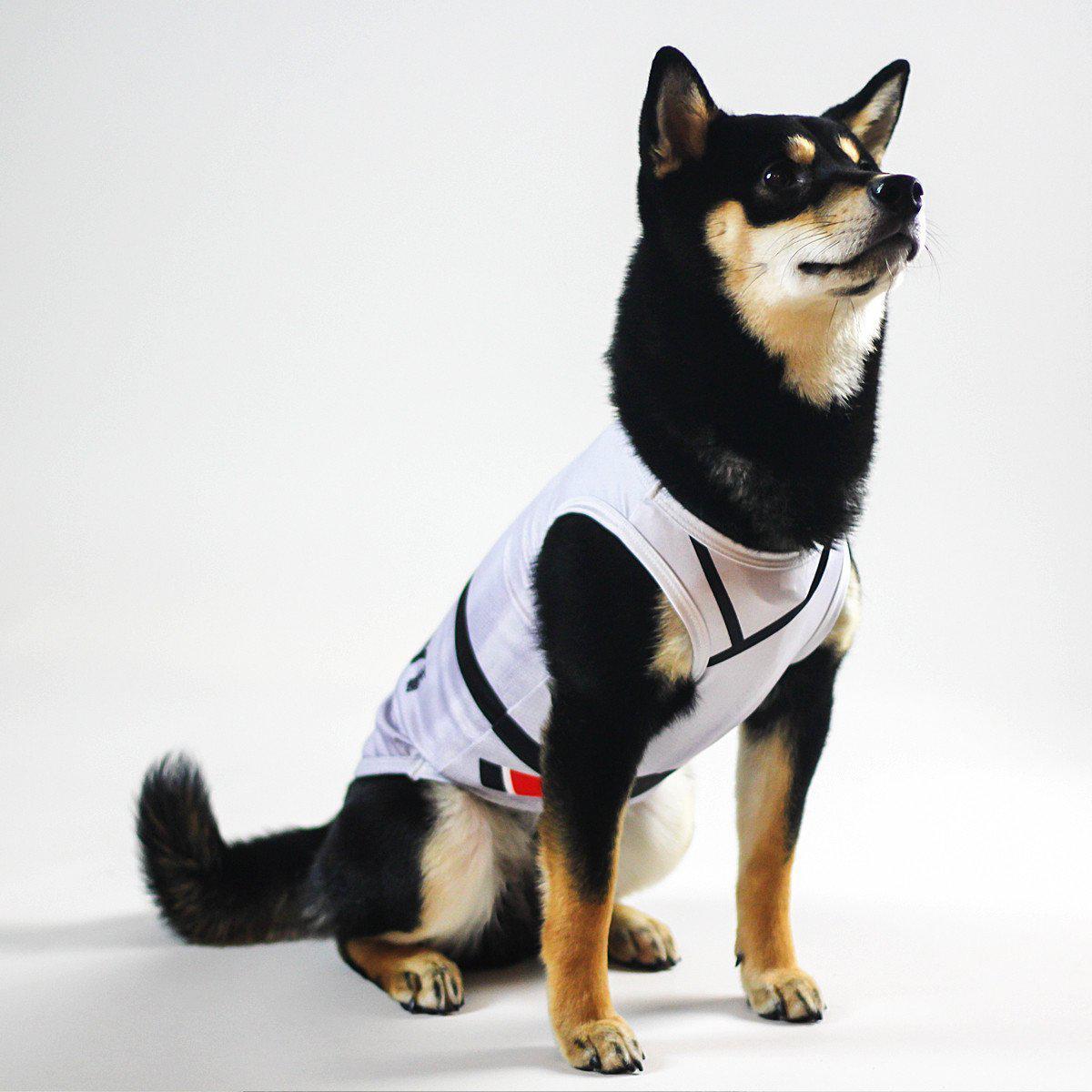 Clothes for Dogs Basketball Bomber Dog Hoodie Jacket
