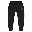 Dynasty Classic Logo Embroidered Fleece Joggers Sweatpants-Pants - Dynasty Clothing MMA