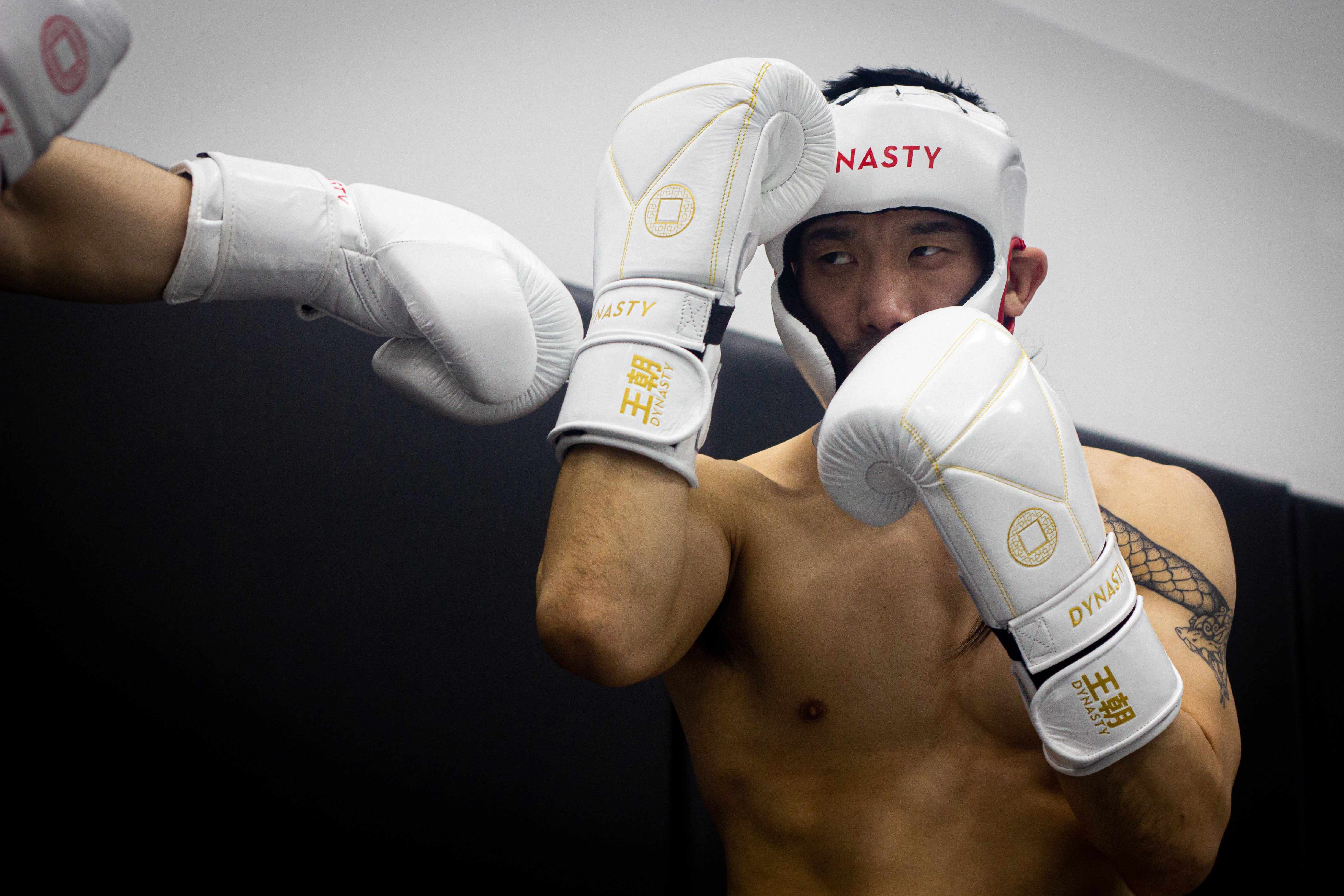 Dynasty Diamond Pro Training Gloves (White / Gold)-Boxing Gloves - Dynasty Clothing MMA